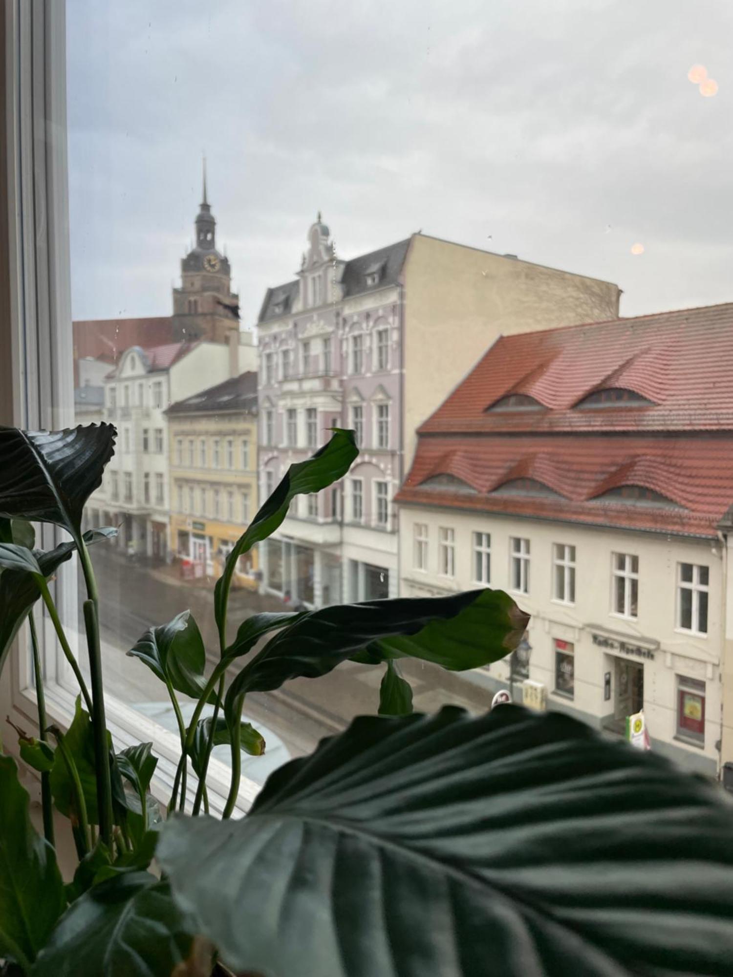Ferienwohnung Havel Harmonie Brandenburg  المظهر الخارجي الصورة