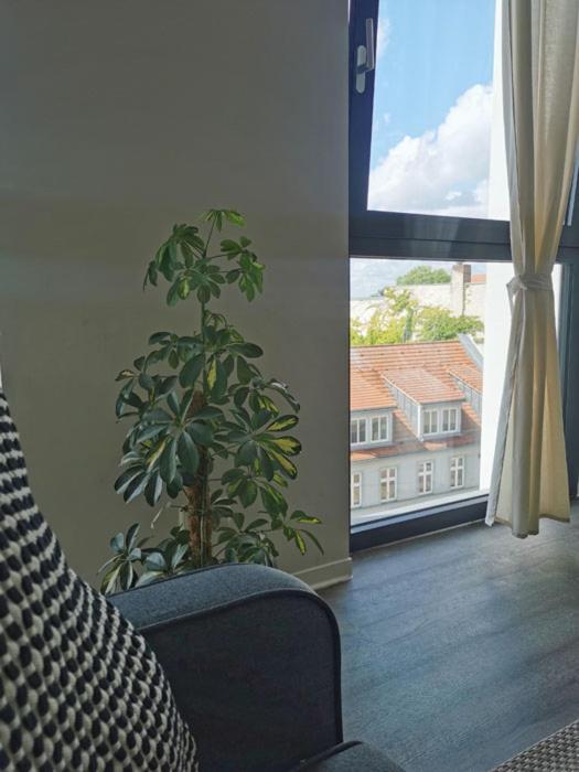 Ferienwohnung Havel Harmonie Brandenburg  المظهر الخارجي الصورة